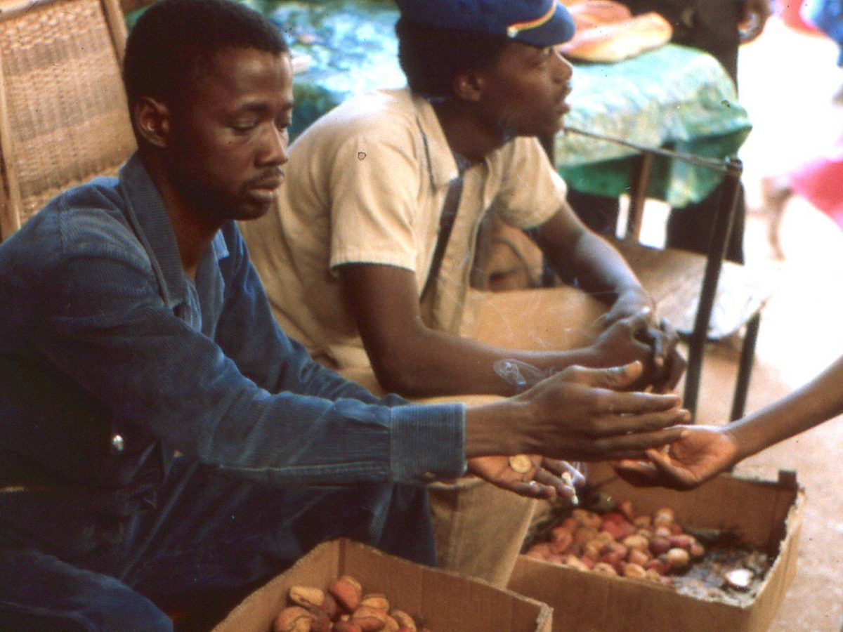 Élargir la base productive ou la base taxable ? Choix stratégiques pour une transition durable du Sénégal vers le statut de pays à revenu&nbsp;intermédiaire